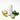 Mini-Deodorant — Blue Tansy Bergamot, with its botanicals #scent_blue-tansy-bergamot