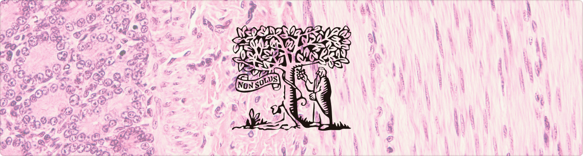 research image